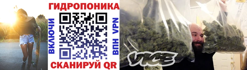 Шишки марихуана планчик  Хадыженск 